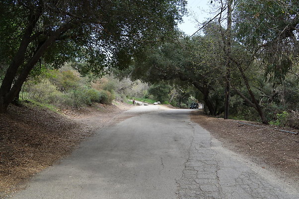 DSC07871