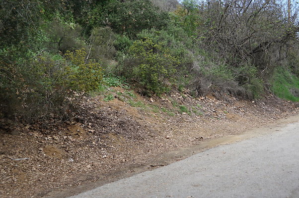 DSC07880