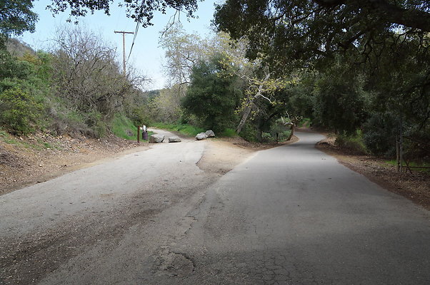 DSC07879