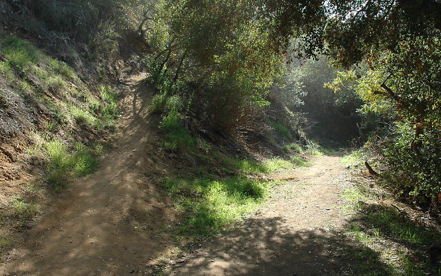 East Loop to Dam