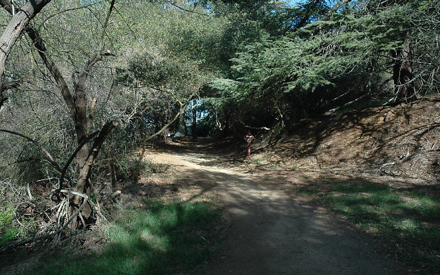 DSC 0096