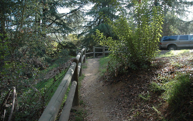 DSC 0199