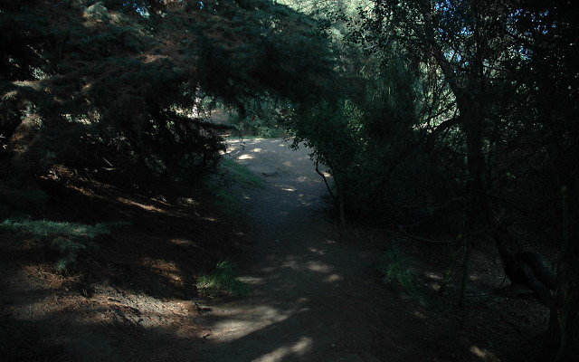 DSC 0224
