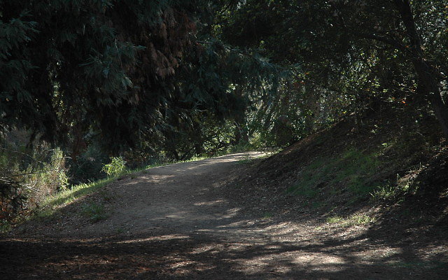 DSC 0201