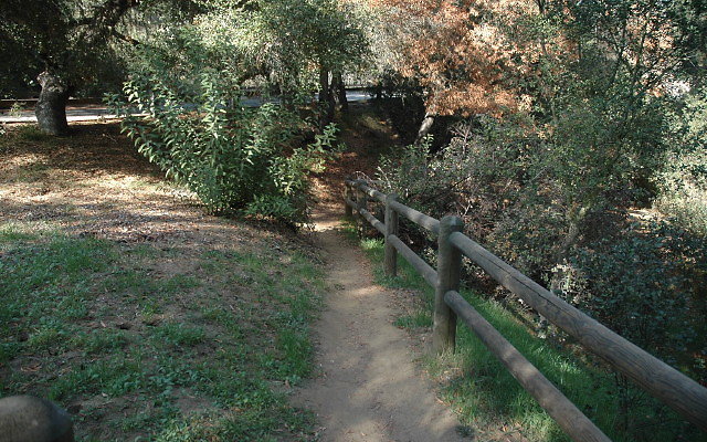 DSC 0197