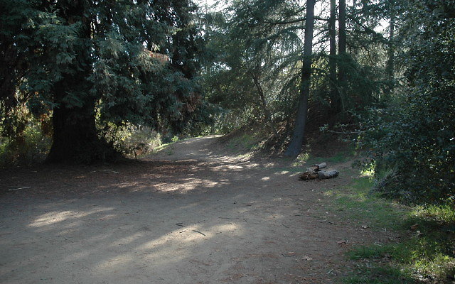 DSC 0200