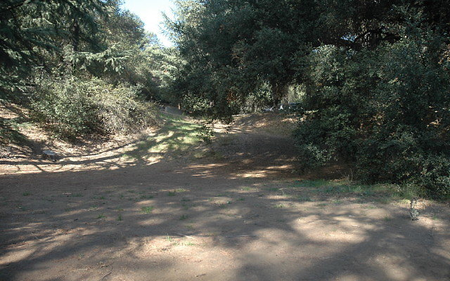DSC 0218