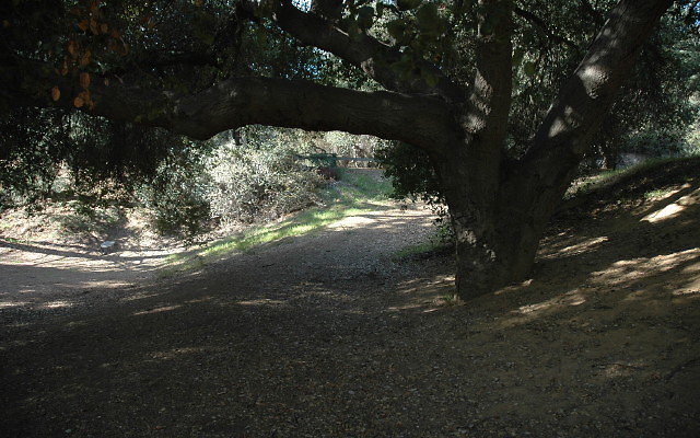 DSC 0216