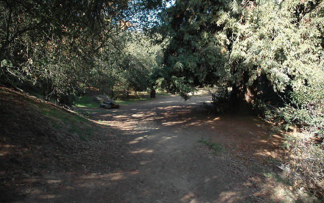 DSC 0211