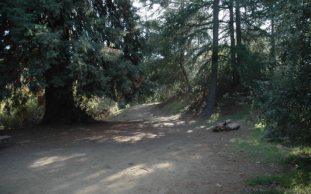 DSC 0202