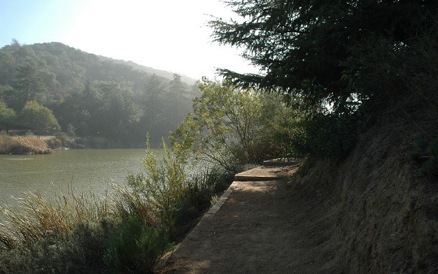 DSC 0230