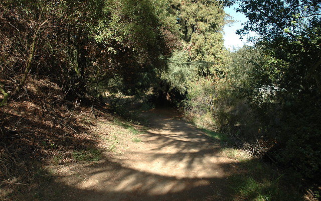 DSC 0212