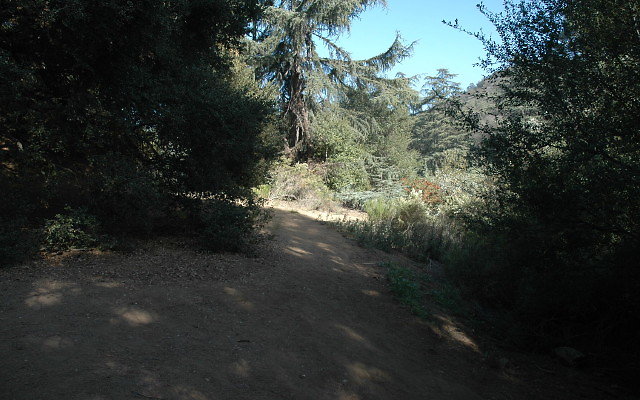 DSC 0219