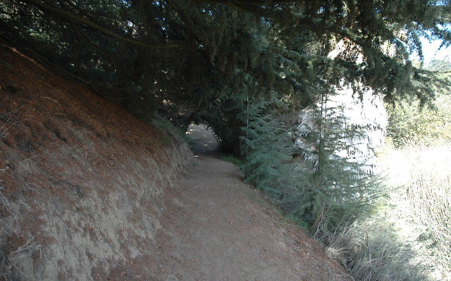 DSC 0227