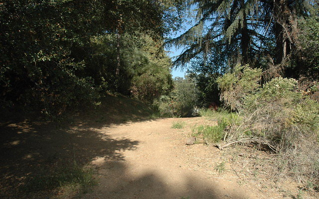 DSC 0217