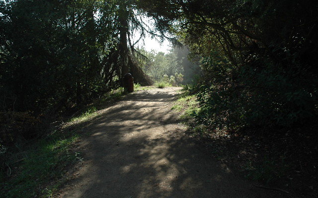 DSC 0209