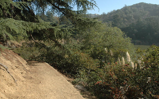 DSC 0234