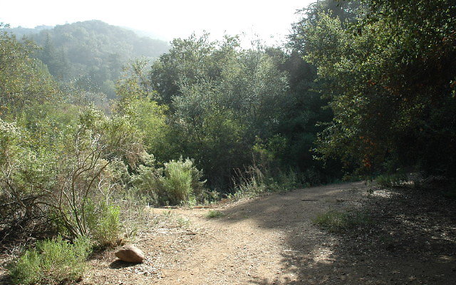 DSC 0214