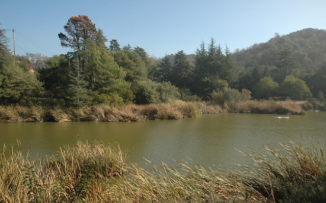 DSC 0229