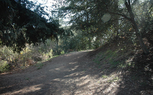 DSC 0206