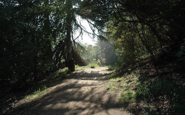 DSC 0210