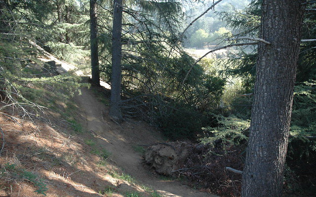 DSC 0239