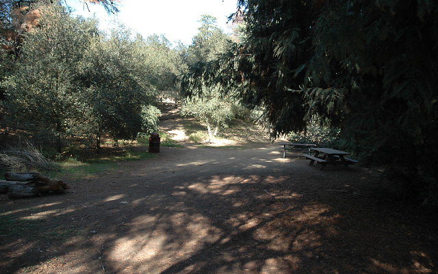 DSC 0207