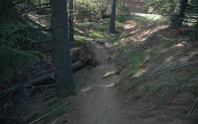 DSC 0235