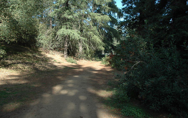 DSC 0203