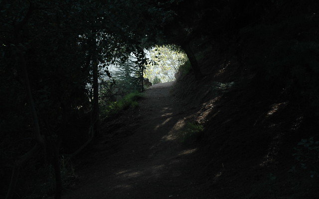 DSC 0222