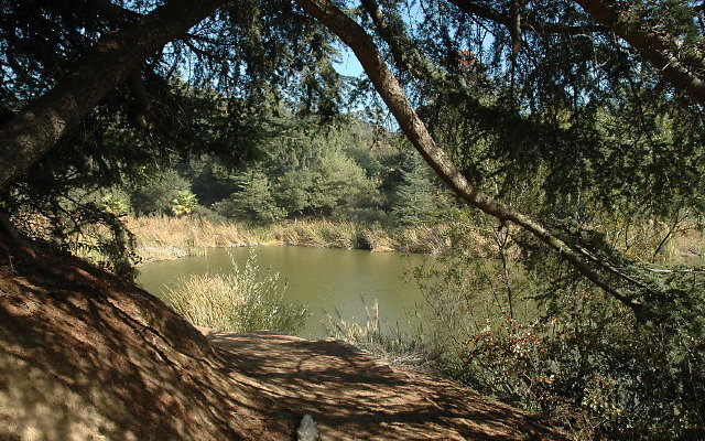 DSC 0232