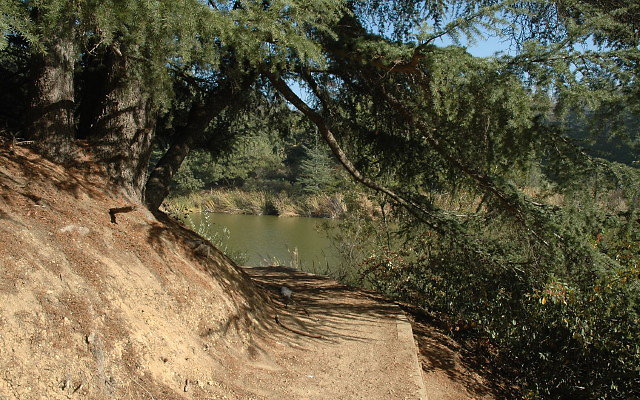 DSC 0233