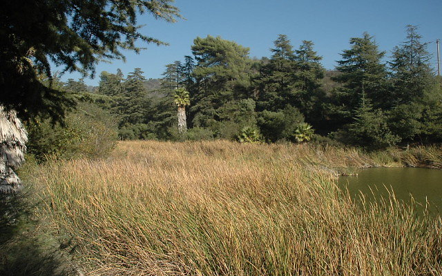 DSC 0228