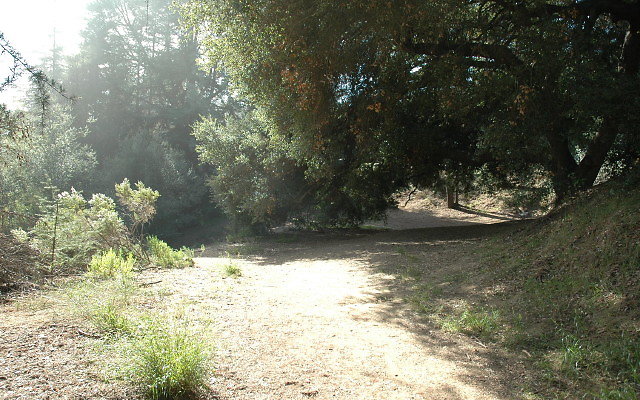 DSC 0213