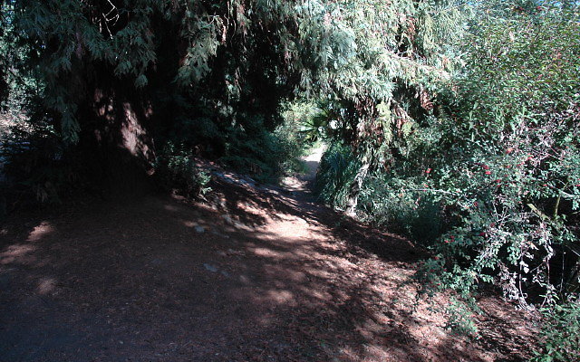 DSC 0208