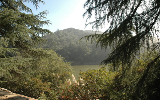 DSC 0236