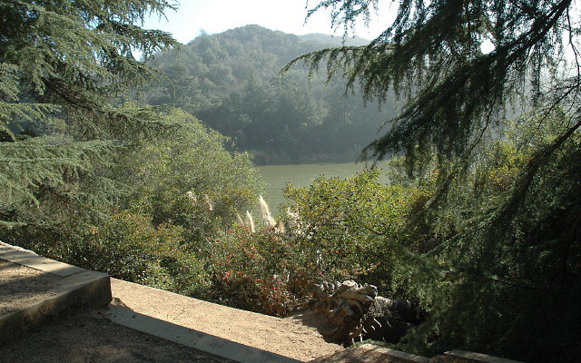 DSC 0237