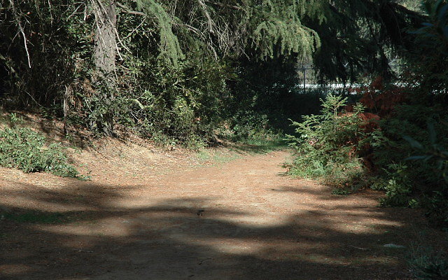 DSC 0204