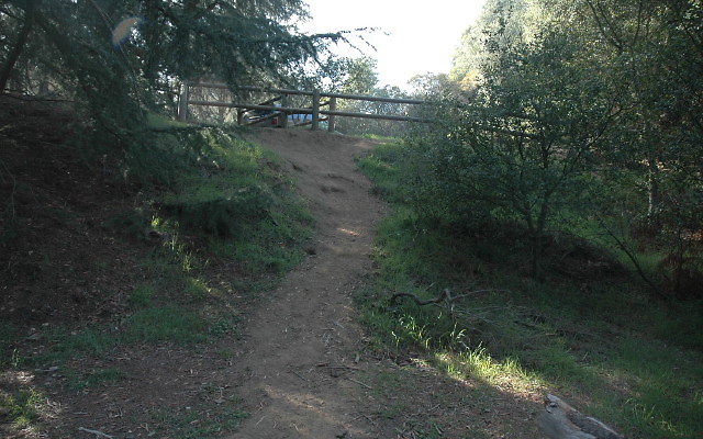 DSC 0205