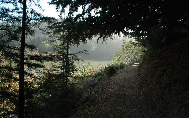 DSC 0225
