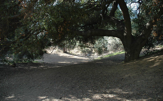 DSC 0215