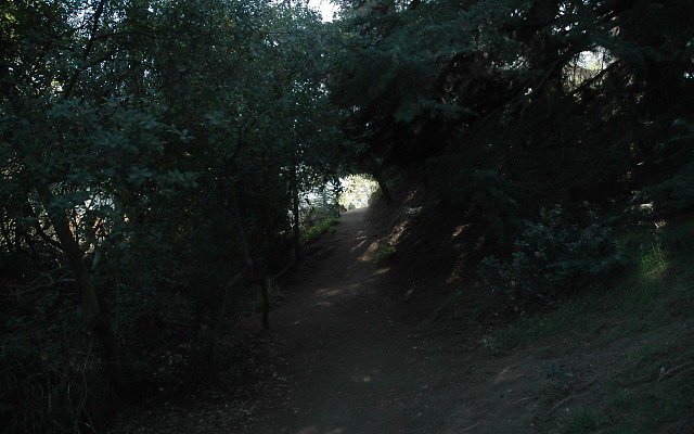 DSC 0221