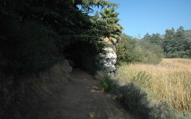 DSC 0231