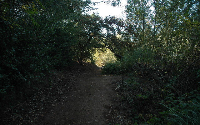 DSC 0157