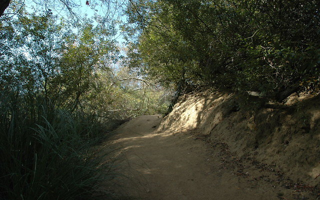 DSC 0156
