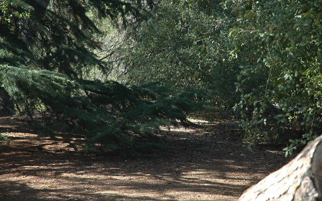 DSC 0150