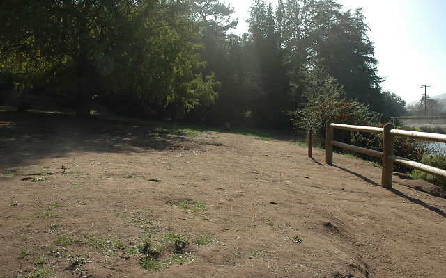 DSC 0164