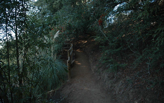 DSC 0186