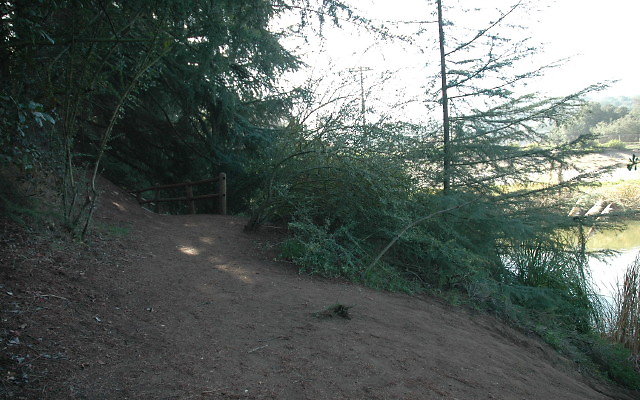 DSC 0180