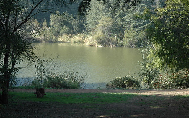 East shore trail